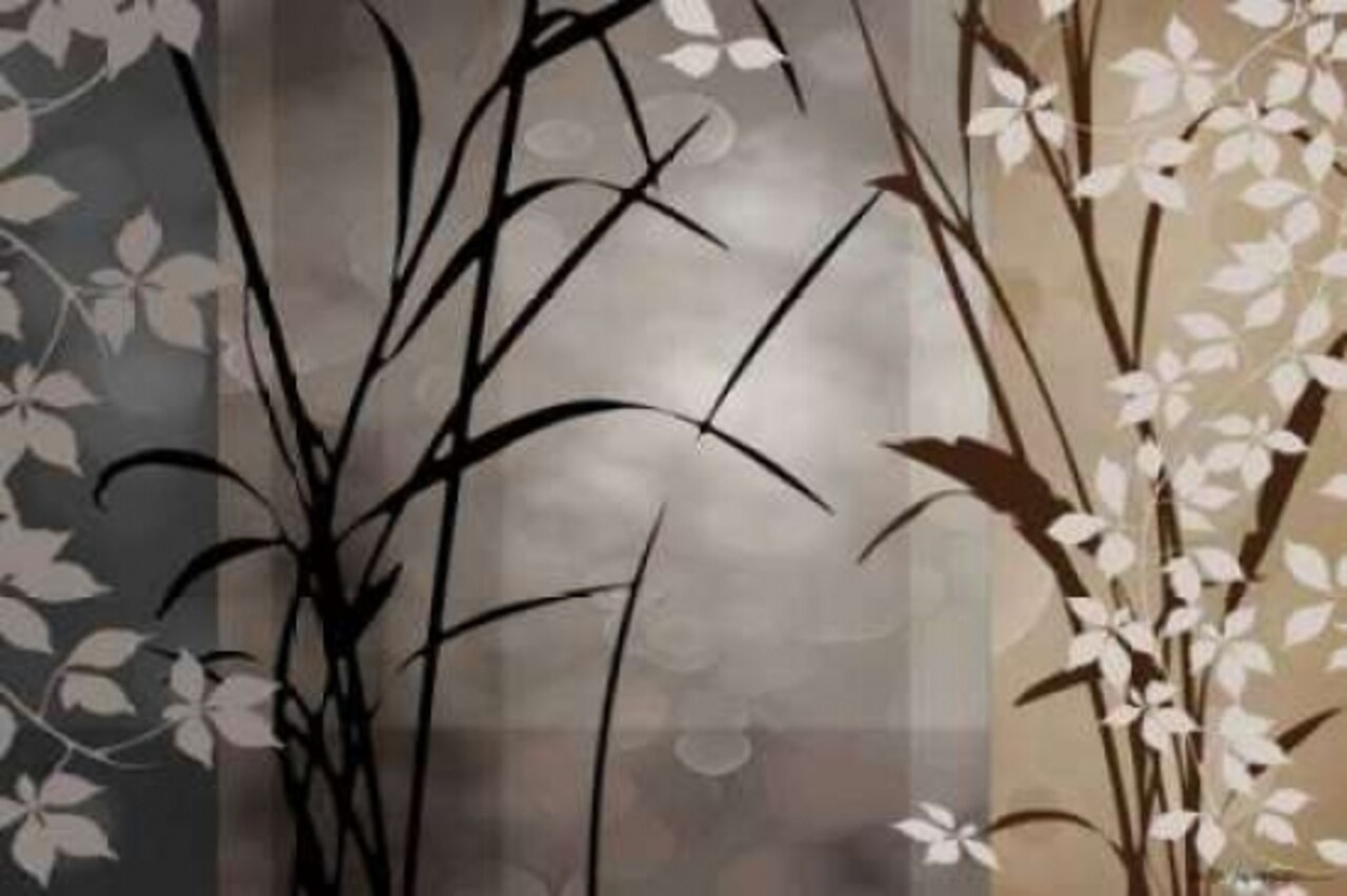 Silver Whispers II Poster Print by Edward Aparicio - Item # VARPDXAEP106